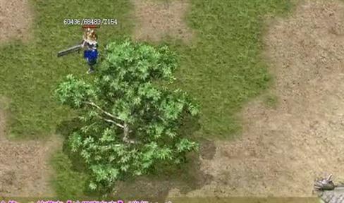热血传奇 招宝宝(下)